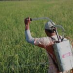 Guwahati's Leading Agrochemical C&F Agent